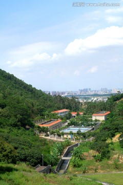 大岭山镇金鸡咀水库