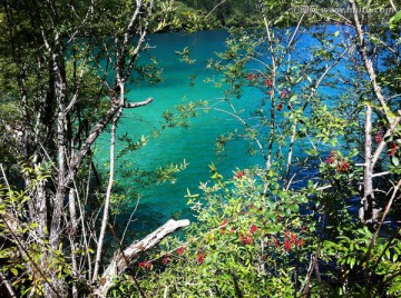 四川九寨沟美丽的海子 自然风光