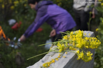 清明节 扫墓 祭祀 乡村 民俗