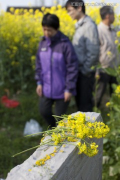 清明节 扫墓 祭祀 乡村 民俗