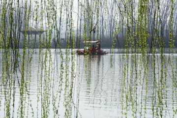 柳丝