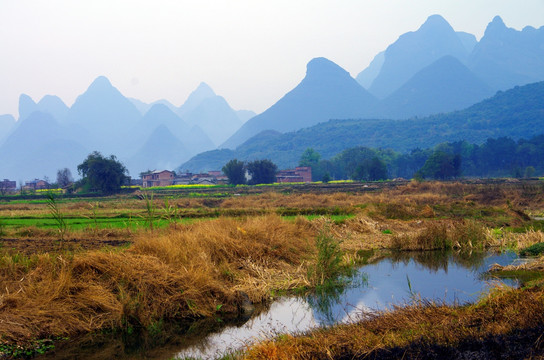 乡村风景