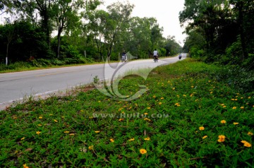 新农村 乡村公路建设