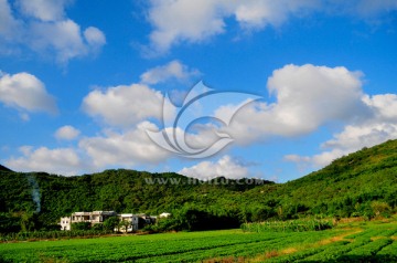 乡村田园 蓝天白云 阳东新农村