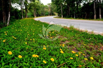 新农村 乡村公路建设