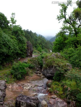 青山绿水