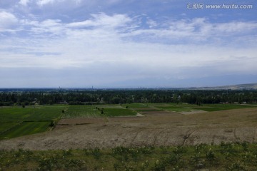 田野