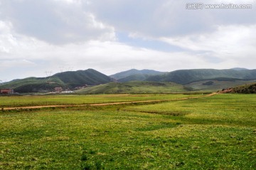 新疆草原牧场