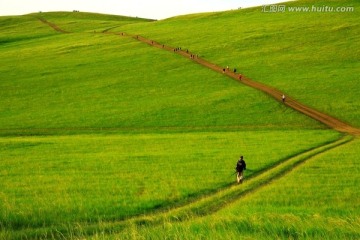 呼伦贝尔草原旅游 游客