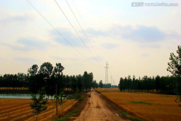 麦田 高压电缆