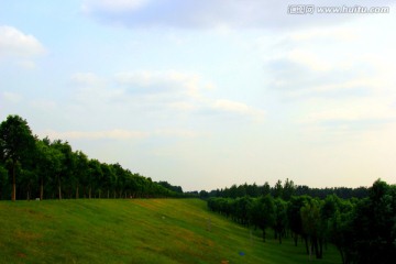 黄河大堤 草坪