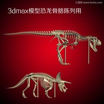 3dmax模型恐龙骨胳陈列用
