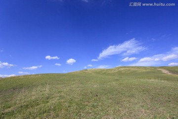 高山草原