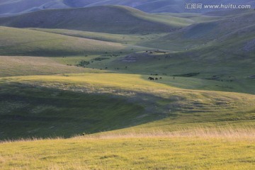 高山牧场