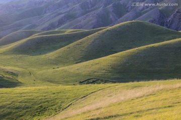 高山牧场