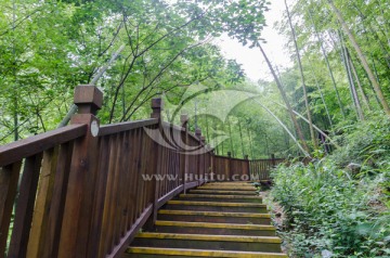 宜兴竹海健身步道  木栈道