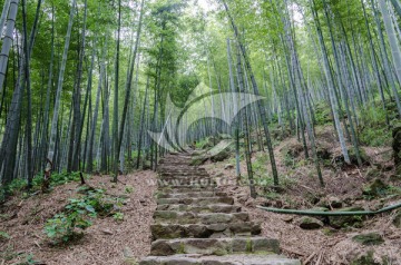 宜兴竹海健身步道