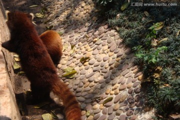 深圳西丽野生动物园