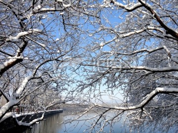 颐和春雪