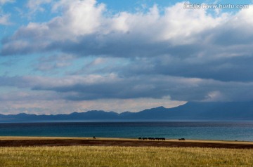 赛里木湖风光