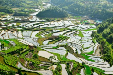 茗岙梯田