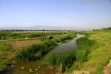 蔡家坡渭河湿地公园