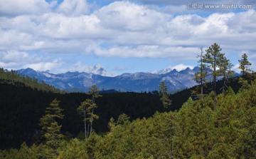 香格里拉