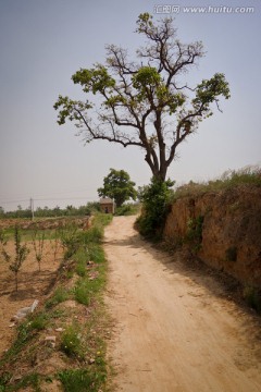 乡村小路