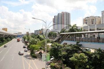 深圳街景 深圳建筑 深圳风光