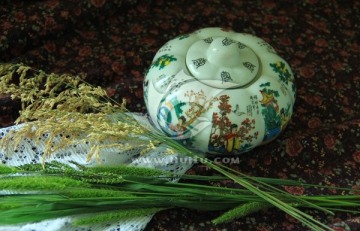 窝瓜瓷罐 麦穗草