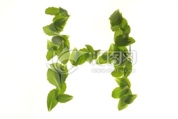 绿色树叶组成的字母H
