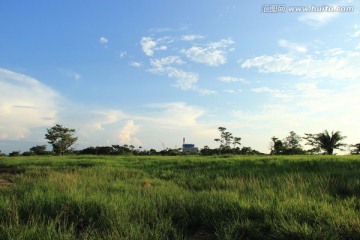 南美草原