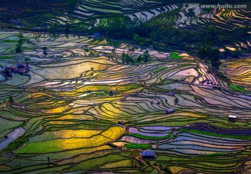 昆明元阳梯田