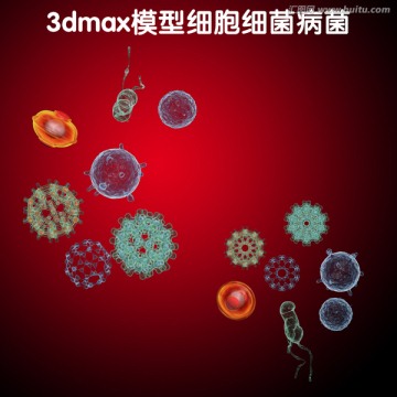 3dmax模型細胞細菌病菌