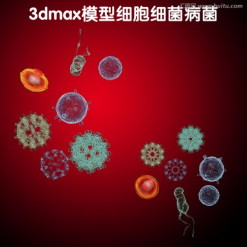 3dmax模型细胞细菌病菌