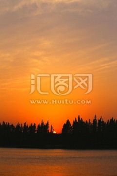 夕阳红