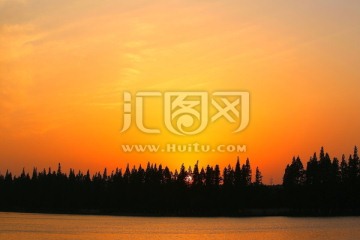 夕阳红