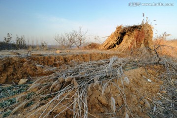 窝棚 旷野风景