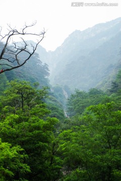 泰山十八盘