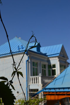 蓝色屋顶的民居