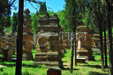 少林寺 塔林 高清