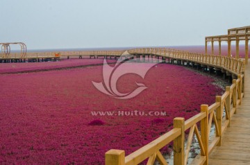 盘锦红海滩景区