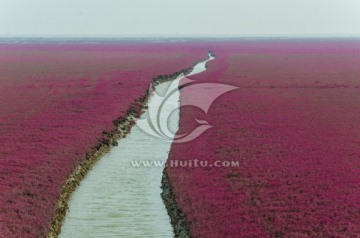 盘锦红海滩景区