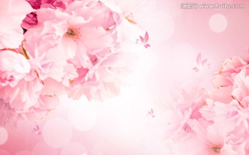 浪漫 櫻花背景墻