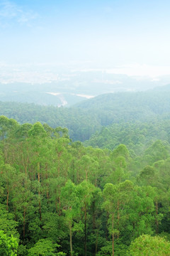 天空 云雾 山林