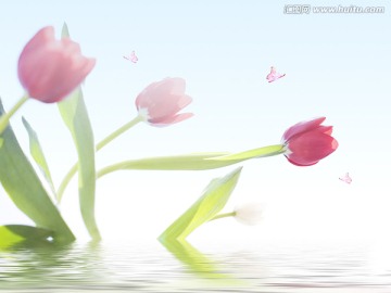 時尚寫真壁畫