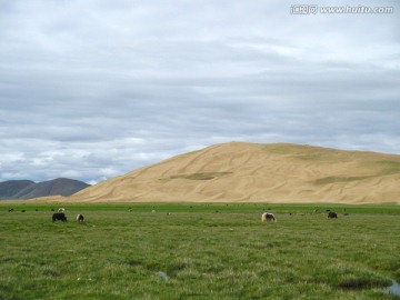 西藏阿里地区草原风光