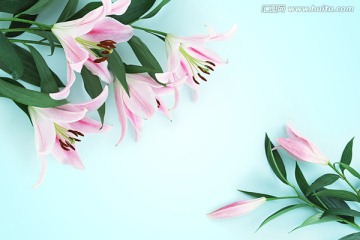 百合花背景墻