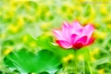 裝飾畫 荷花