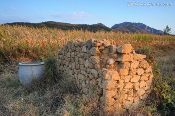 田野风光